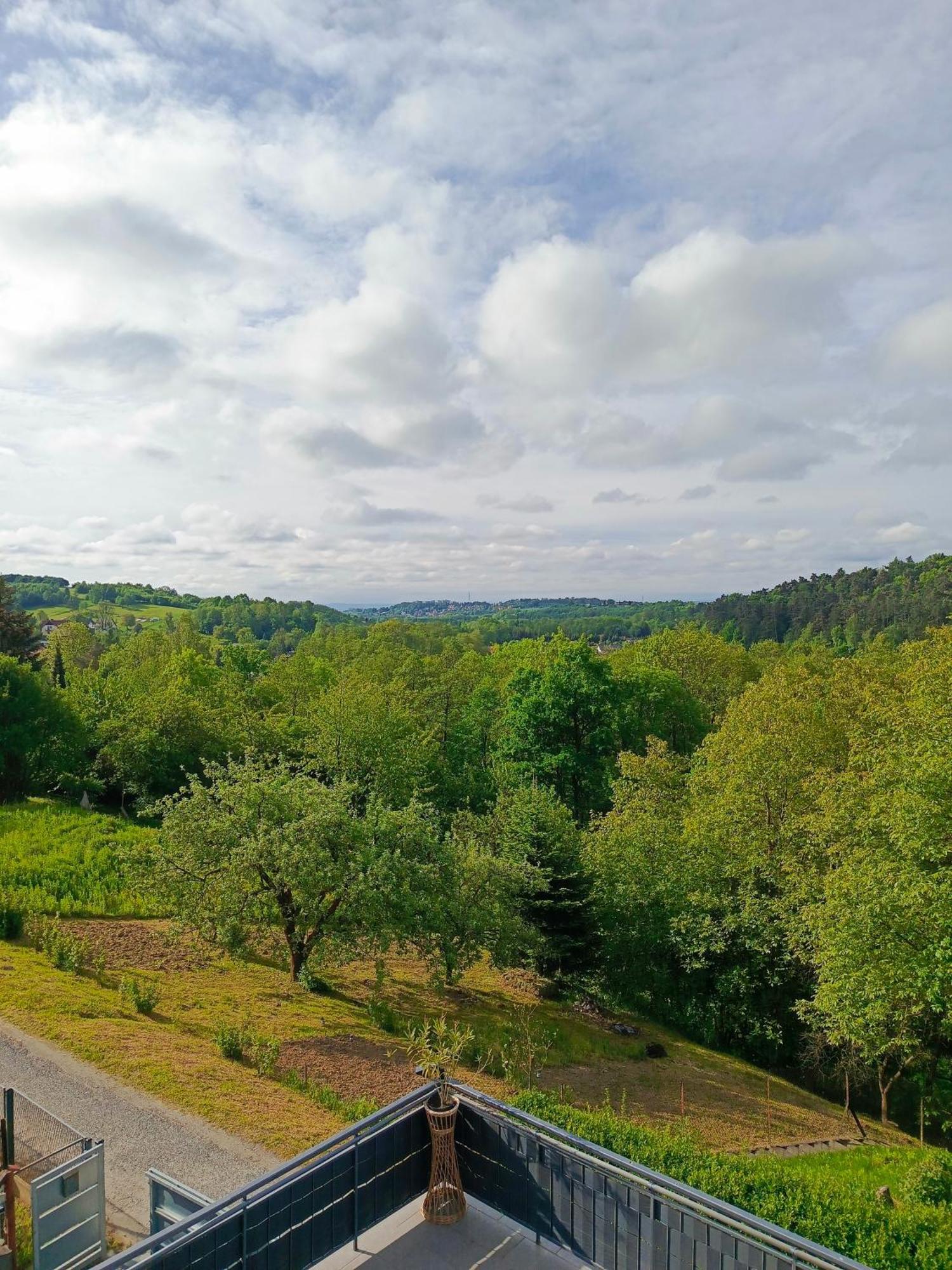 Noclegi U Ewusi 2 Januszowice  エクステリア 写真